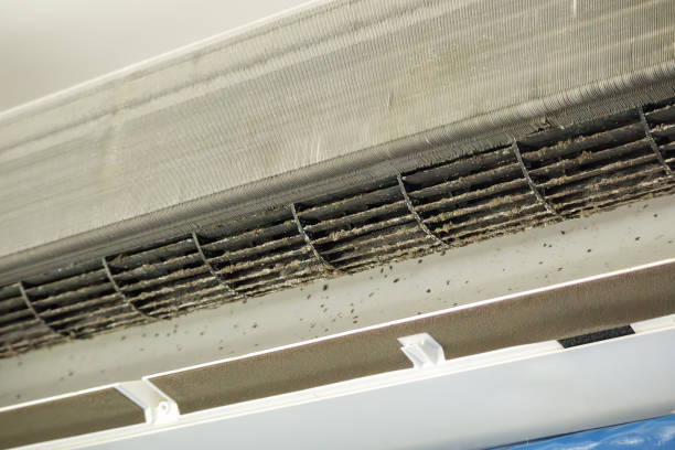 Best Ventilation Cleaning Services  in Farmerville, LA