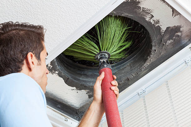 Best Air Duct Mold Removal  in Farmerville, LA